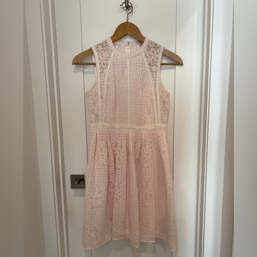 Pale pink cut lacework fit and flare dress